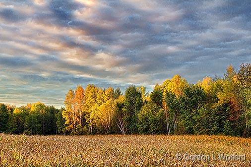 First Sign Of Autumn_28102.jpg - Photographed at sunrise near Rideau Ferry, Ontario, Canada.